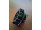 Pinion semanatoare Amazone